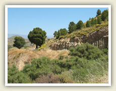 Nádherná příroda v předhůří Sierry Nevady