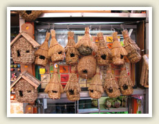 Této části Rambly se říká Ptačí Rambla. Prodávají se tu totiž ptáci.