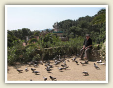 Park Guell
