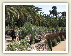 Park Guell