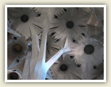 Strop katedrály Sagrada Família