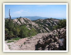 Příroda v okolí kláštera Montserrat