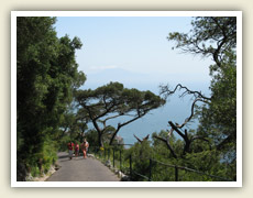Obslužná silnice se klikatí po svazích Skály
