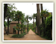 Zahrada nedaleko Alhambry