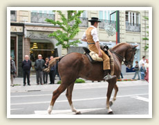 Jezdci na krásných koních