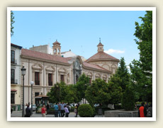 Pomerančovníky v ulicích