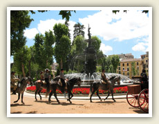 Jezdci na krásných koních