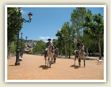 Jezdci na krásných koních