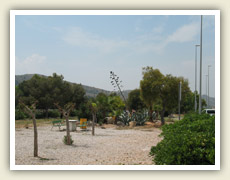 Vyschlá krajina provincie Murcia