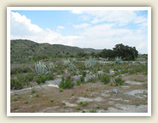 Vyschlá krajina provincie Murcia
