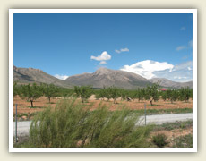 Vyschlá krajina provincie Murcia