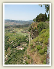 Rokle v centru města