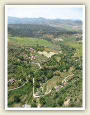 Rokle v centru města