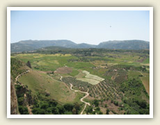 Rokle v centru města