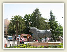 Před býčí arénou