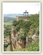 Rokle v centru města