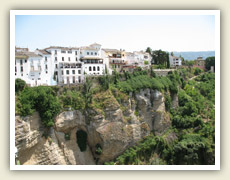 Rokle v centru města