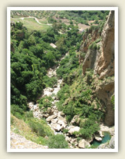 Rokle v centru města