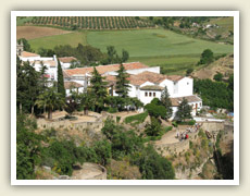 Rokle v centru města