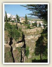 Rokle v centru města