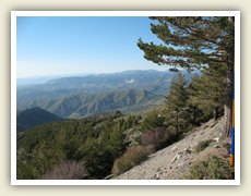 Nádherná horská příroda v nižších partiích pohoří